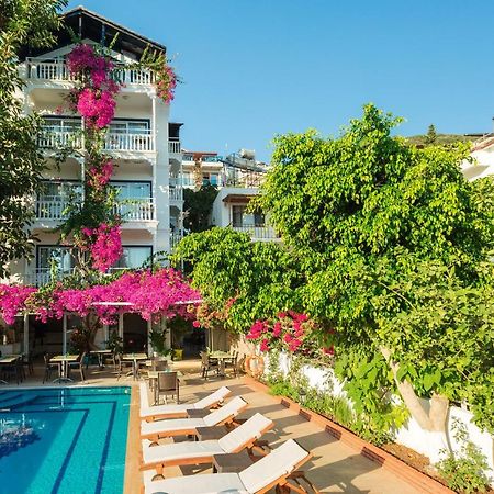 Hotel Koza カシュ エクステリア 写真